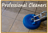 tile grout cleaning